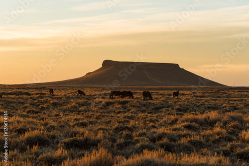 Wild Horse Scenic Loop near Rock Springs, Wyoming	 photo