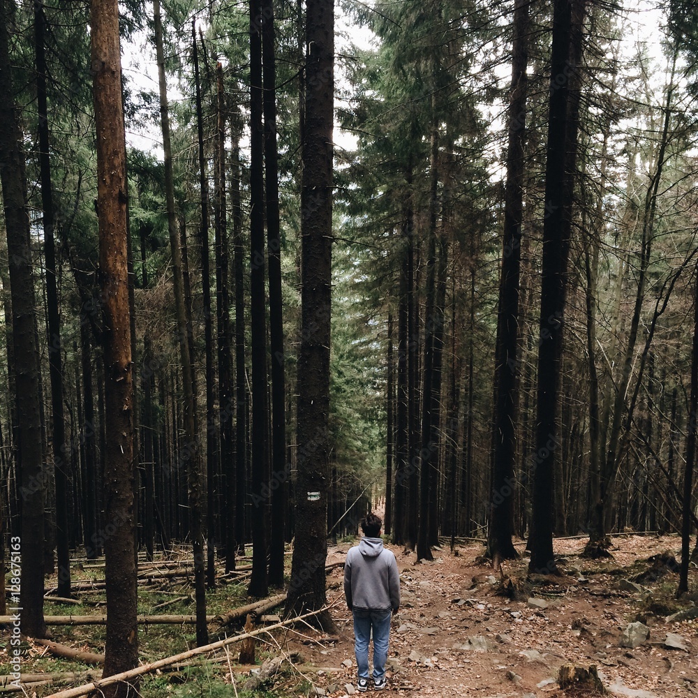 tourist travels mountain forest tourist travels mountain forest