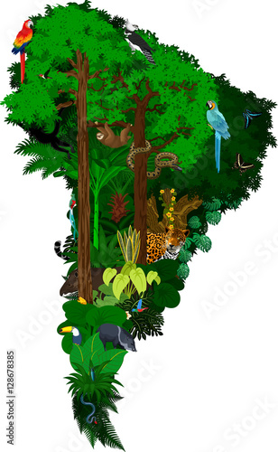 animals and plants south america sketch