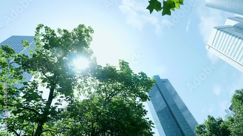 city park trees. skyscrapers scenery. shot in 4K 3840x photo