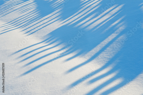 Fototapeta Naklejka Na Ścianę i Meble -   Blue shadows from a fence on snowdrifts.