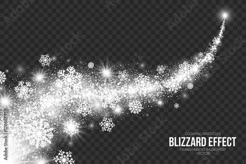 Snow Blizzard Effect on Transparent Background Vector Illustration. Abstract bright white shimmer glowing scatter falling round particles, lights and snowflakes