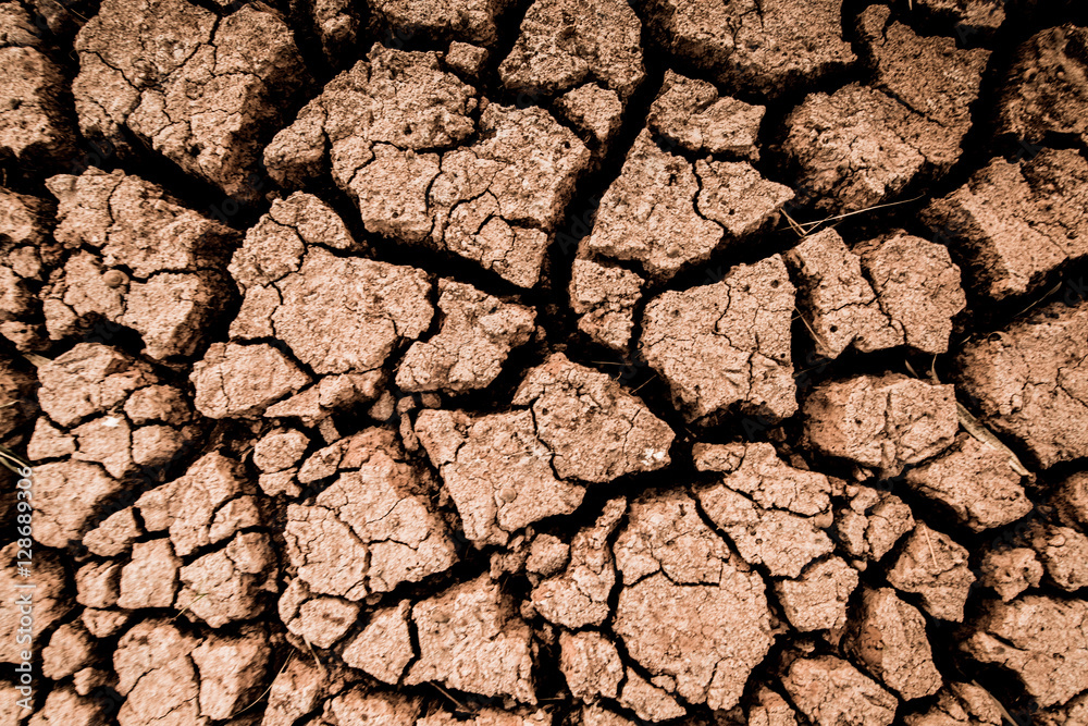Land with dry and cracked ground texture. Desert, hot climate, dry salt ...