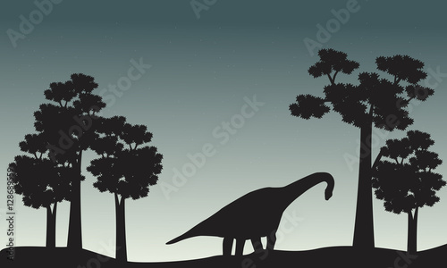 Scenery of brachiosaurus and tree silhouette