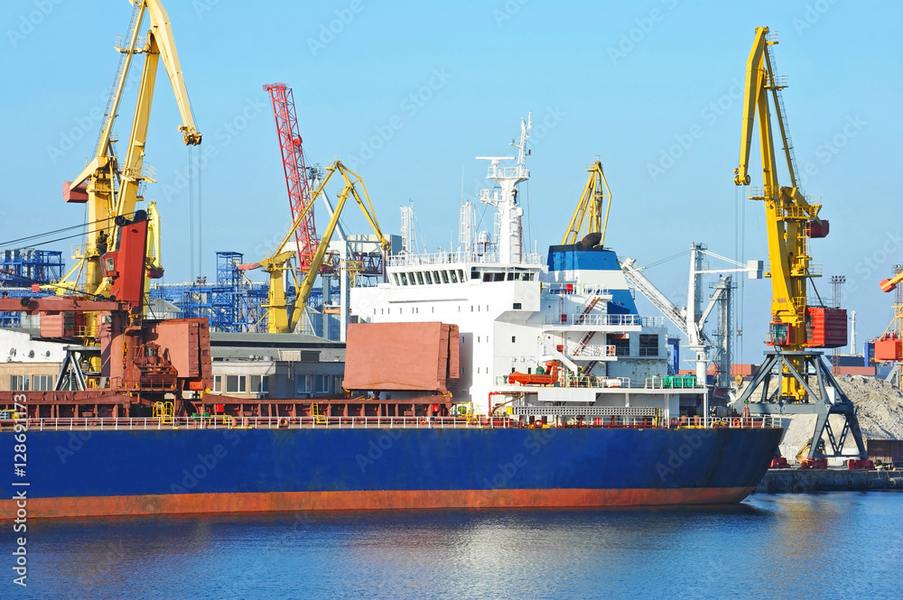 Bulk cargo ship under port crane