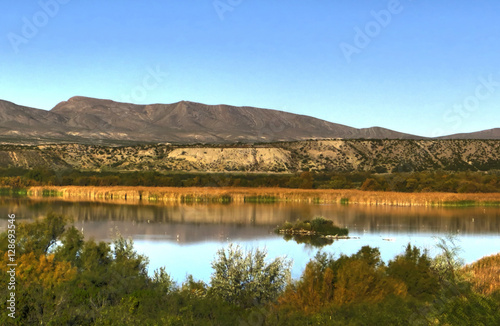 Elephant Butte Lake New Mexico