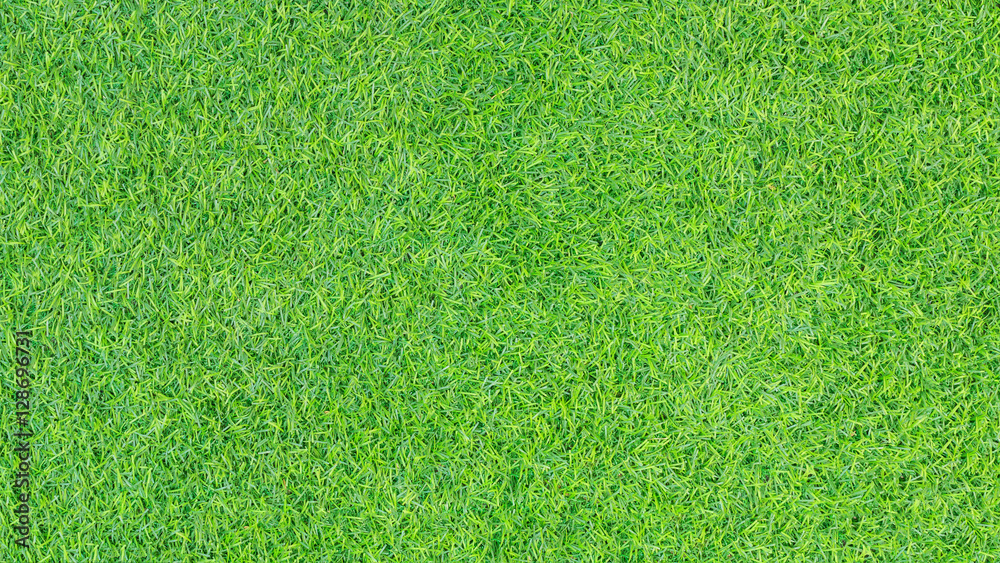 Green grass texture or Green grass background. Top view of artificial green  grass for golf course and soccer field. Abstract artificial green grass  pattern for design with copy space. Stock Photo |