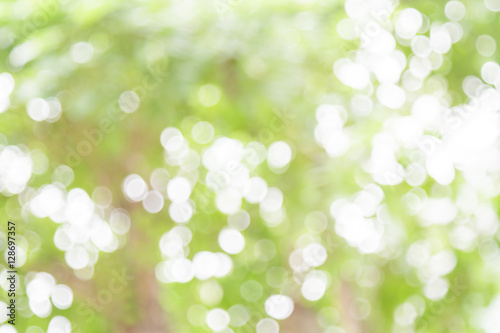 White and green nature bokeh circular shape, abstract background.