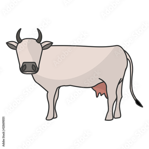 Indian brown cow icon vector illustration graphic design