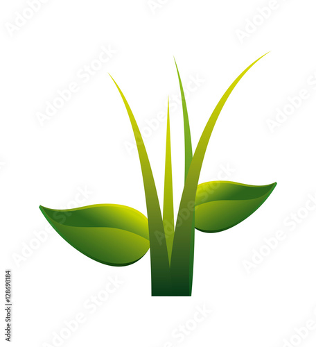 natural grass isolated icon vector illustration design