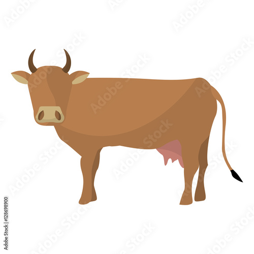 Indian brown cow icon vector illustration graphic design