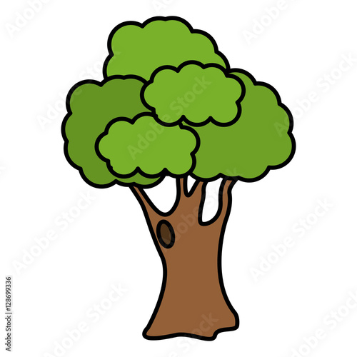 tree green nature icon vector illustration graphic design