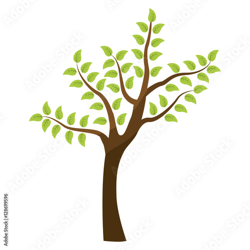 tree green nature icon vector illustration graphic design