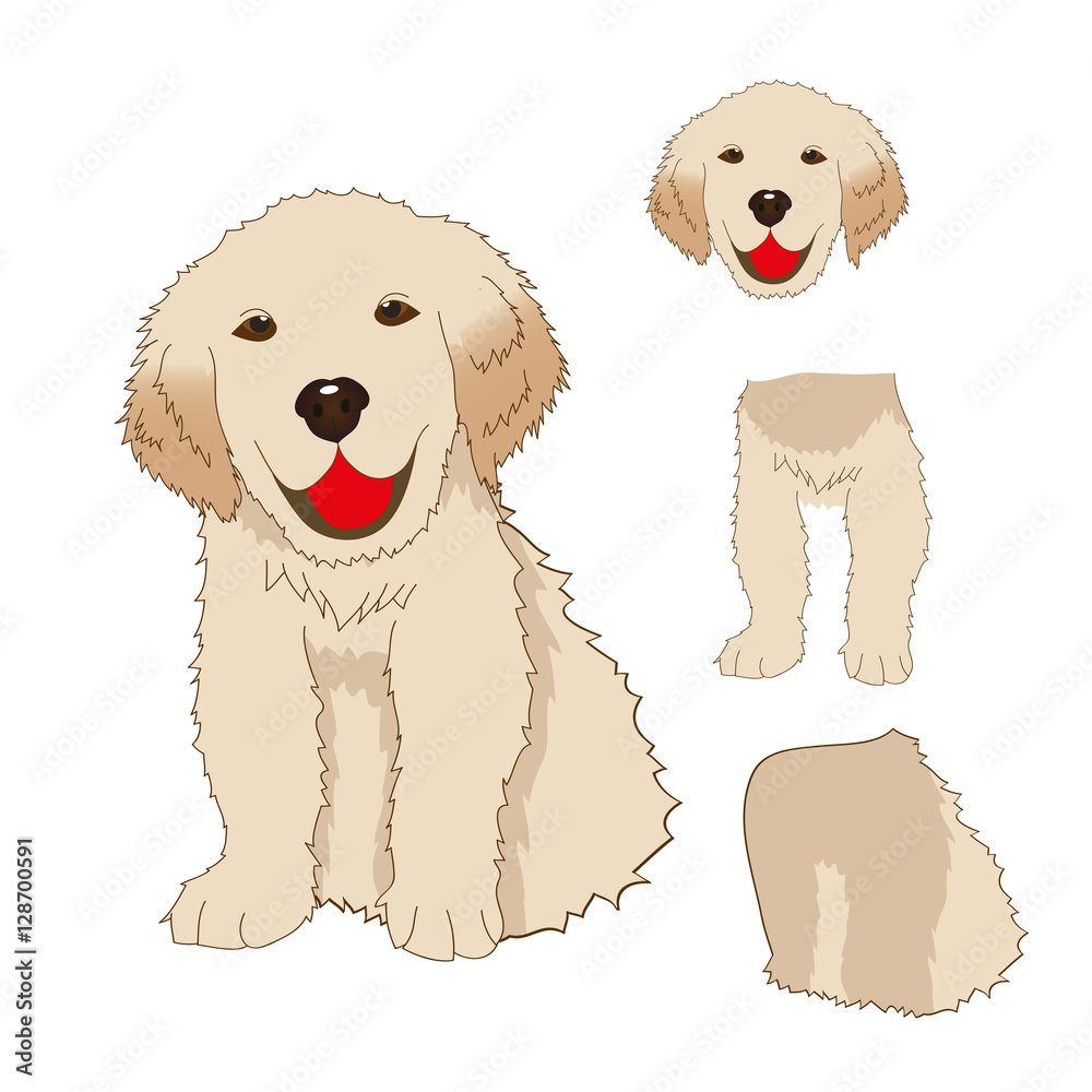 fabrik Array Strålende Puppy Golden Retriever Sitting, Baby Dog Labrador Smile. Greeting Card  isolated on White Background. Vector Illustration. Stock-vektor | Adobe  Stock