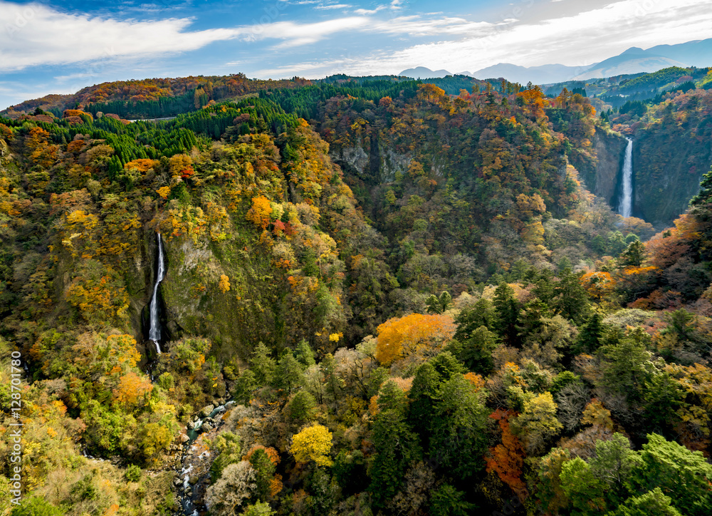 Fototapeta premium 震動の滝 九重夢大吊橋 紅葉