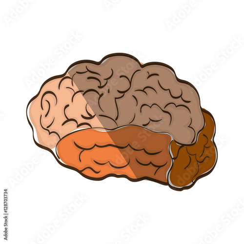 Human brain mind icon vector illustration graphic design