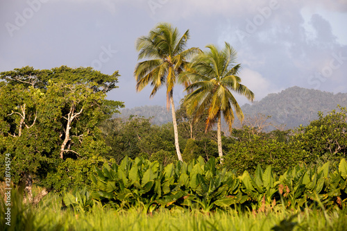 Madagascar traditional river landscape