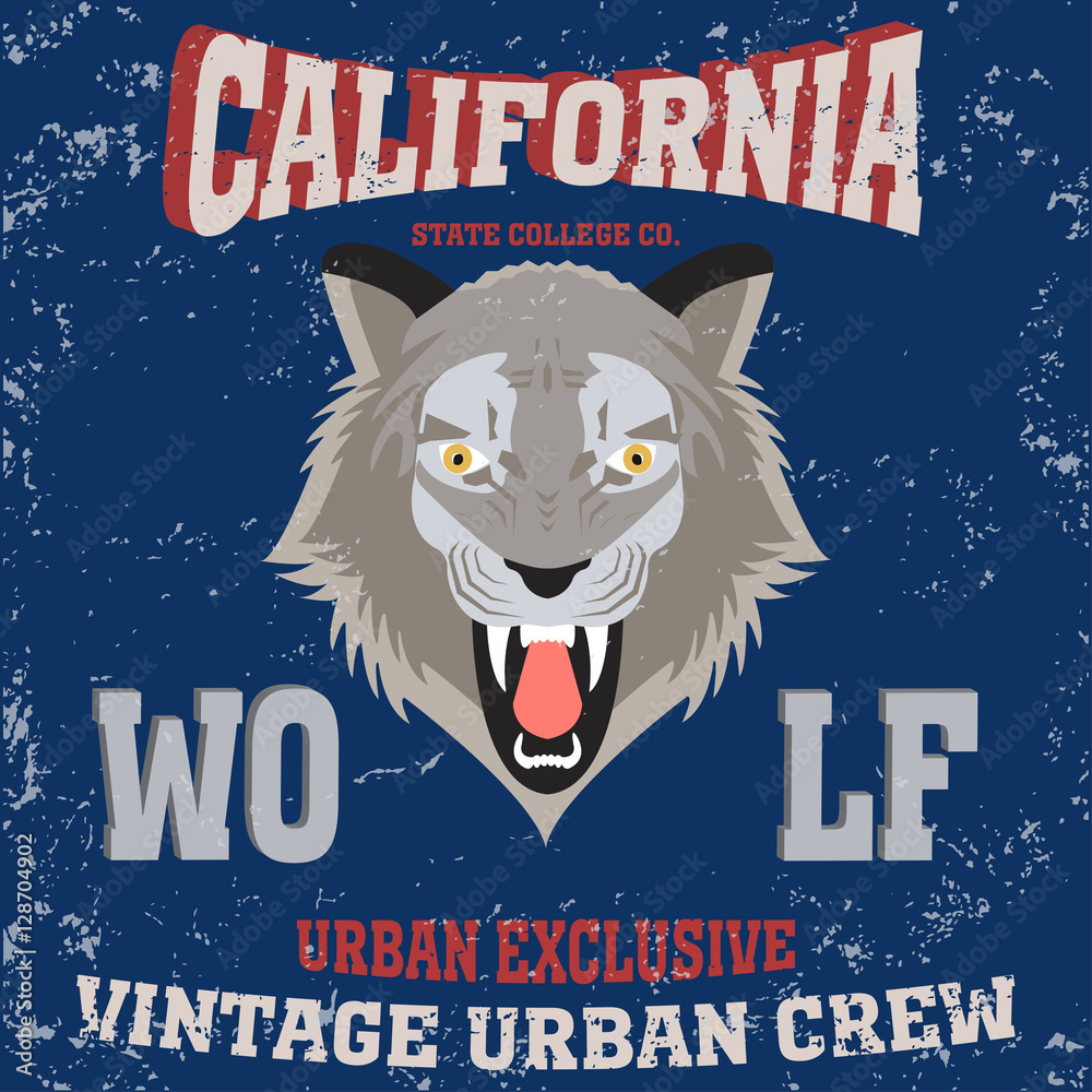 Obraz premium la wolf