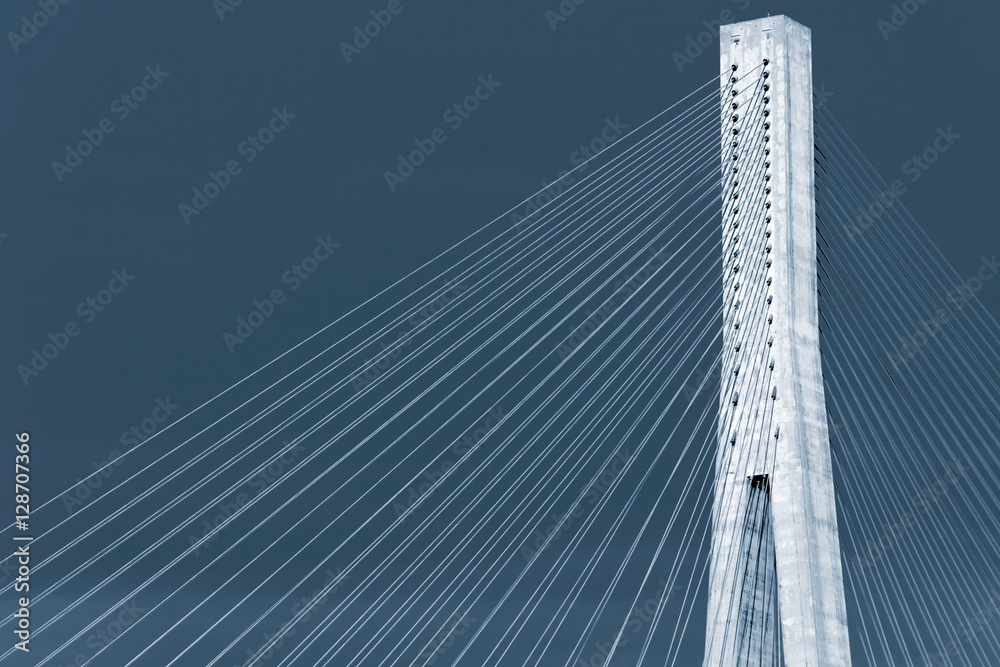 Blue toned photo of cable-stayed bridge