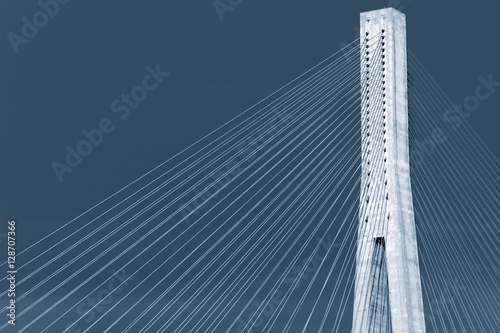 Blue toned photo of cable-stayed bridge © evannovostro
