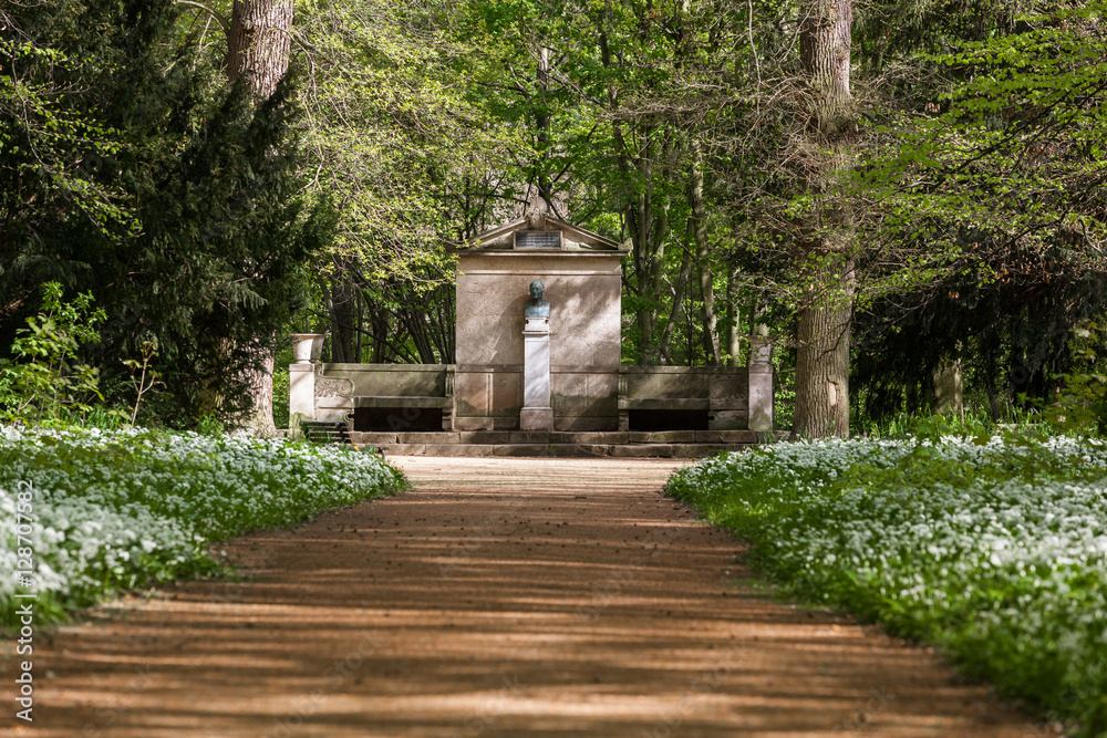 Bärlauch Quedlinburg Parkanlage