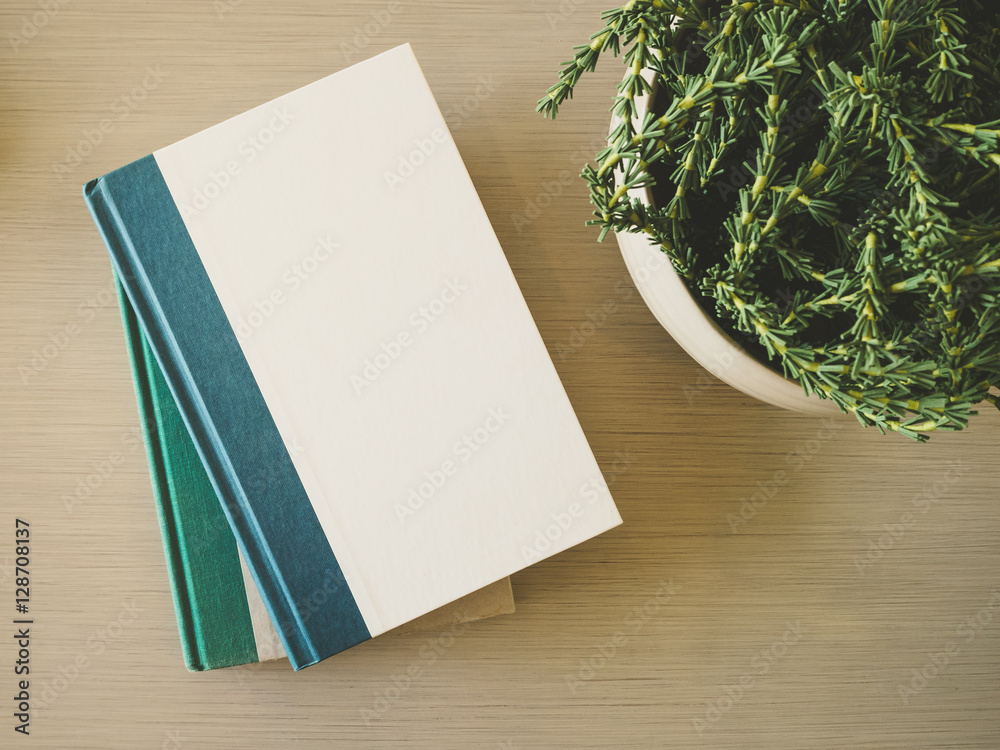 Fototapeta premium Book cover Mock up template on table with plant decoration