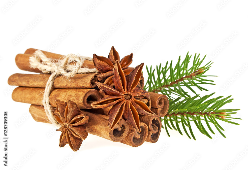 Fir tree branch, anise and cinnamon sticks isolated on white bac Fir tree branch, anise and cinnamon sticks isolated on white bac