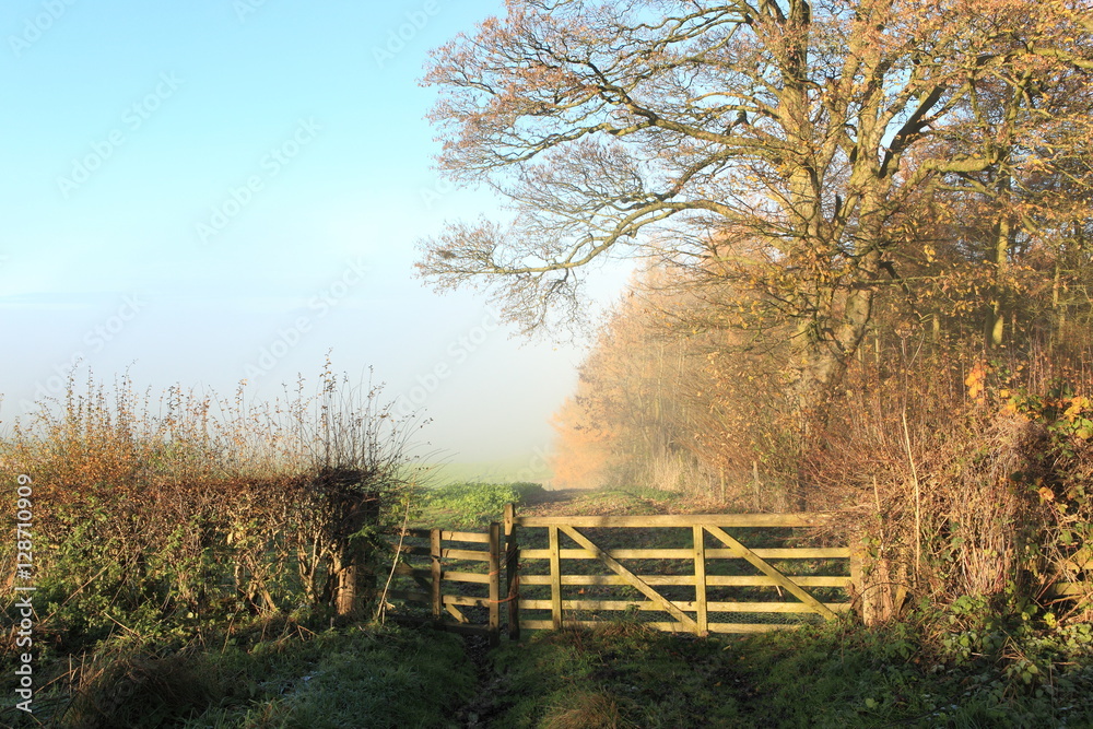 An English landscape with a wooden five barred gate by woodland on a misty, frosty morning in autumn An English landscape with a wooden five barred gate by woodland on a misty, frosty morning in autumn