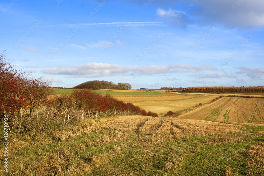 larch and hawthorn landscape