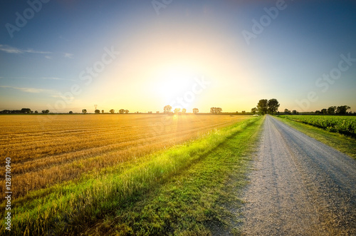 The long road towards the sunset