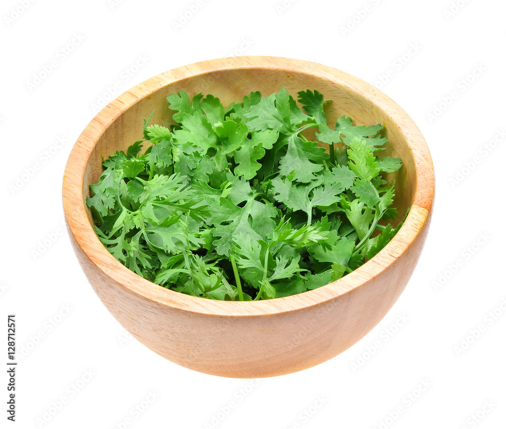 fresh coriander leaves in wooden bowl on white background. fresh coriander leaves in wooden bowl on white background.
