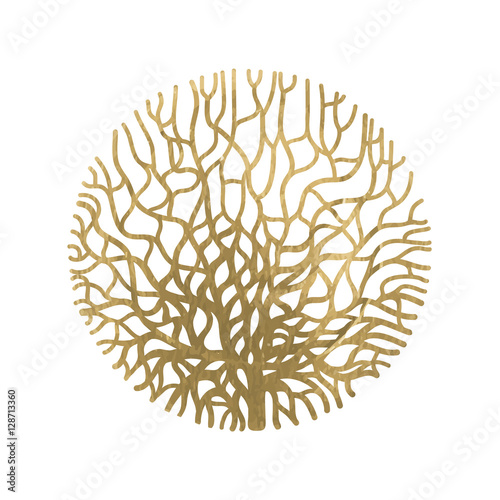 Graphic coral circle