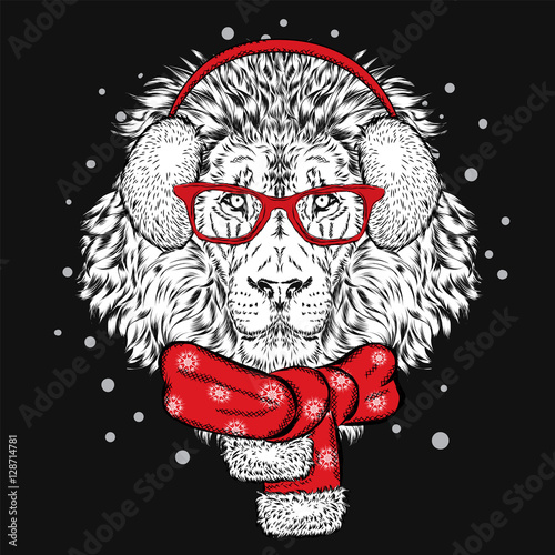 Fototapeta Naklejka Na Ścianę i Meble -  Beautiful lion in winter scarf and headphones. Vector illustration for a card or poster. Print on clothes. Winter. New Year's and Christmas.