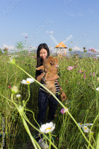 Thai woman and pomeranian with turbine in cosmos field, Muangkaen photo