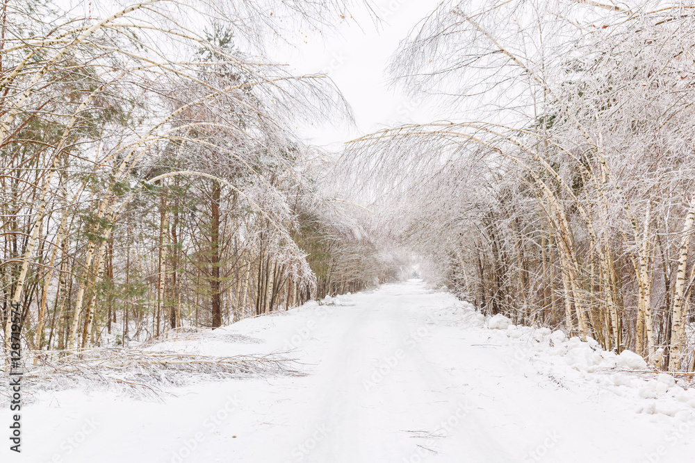 custom made wallpaper toronto digitalДорога в деревню после ледяного дождя