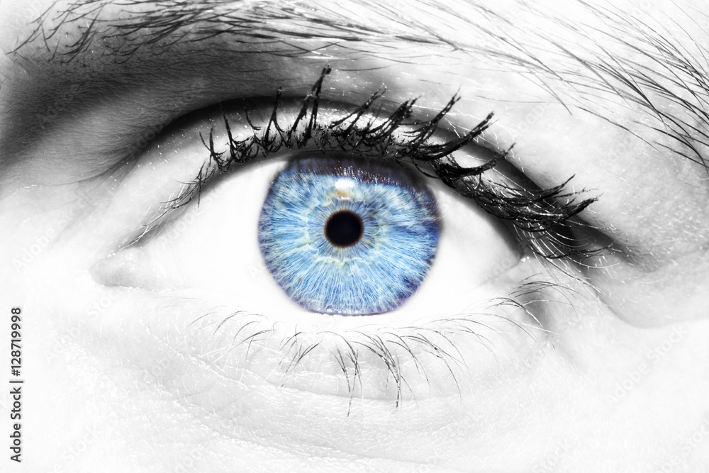 Fototapeta premium Beautiful insightful look women's blue eye