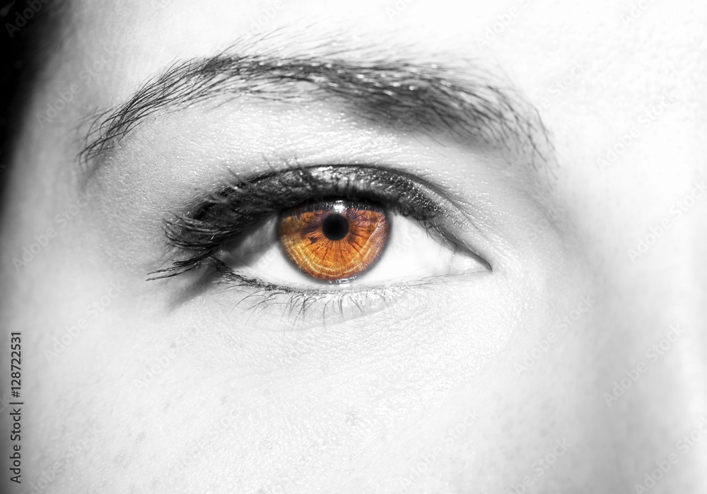 Beautiful insightful look brown woman's eye Beautiful insightful look brown woman's eye