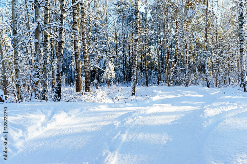 Fototapeta premium snowy road in forest, frozen trees, sunny day