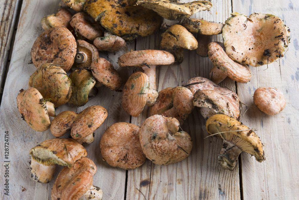 Muschrooms Muschrooms