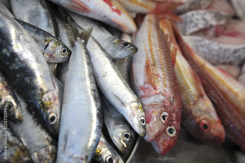 Obraz premium Fresh sardines and red mullets in fish Market.