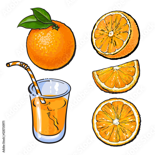 Oranges and a glass of freshly squeezed juice, sketch style vector illustration isolated on white background. Set of realistic hand drawings of whole, half and sliced ripe oranges, juice, segment