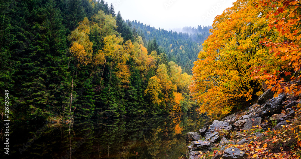 Fototapeta premium Herbstliche Stimmung an der Oker