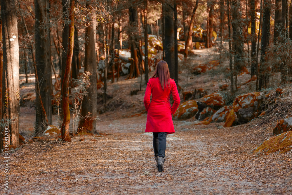 Young woman walking away alone on a forest path wearing a red overcoat. - obrazy, fototapety, plakaty 