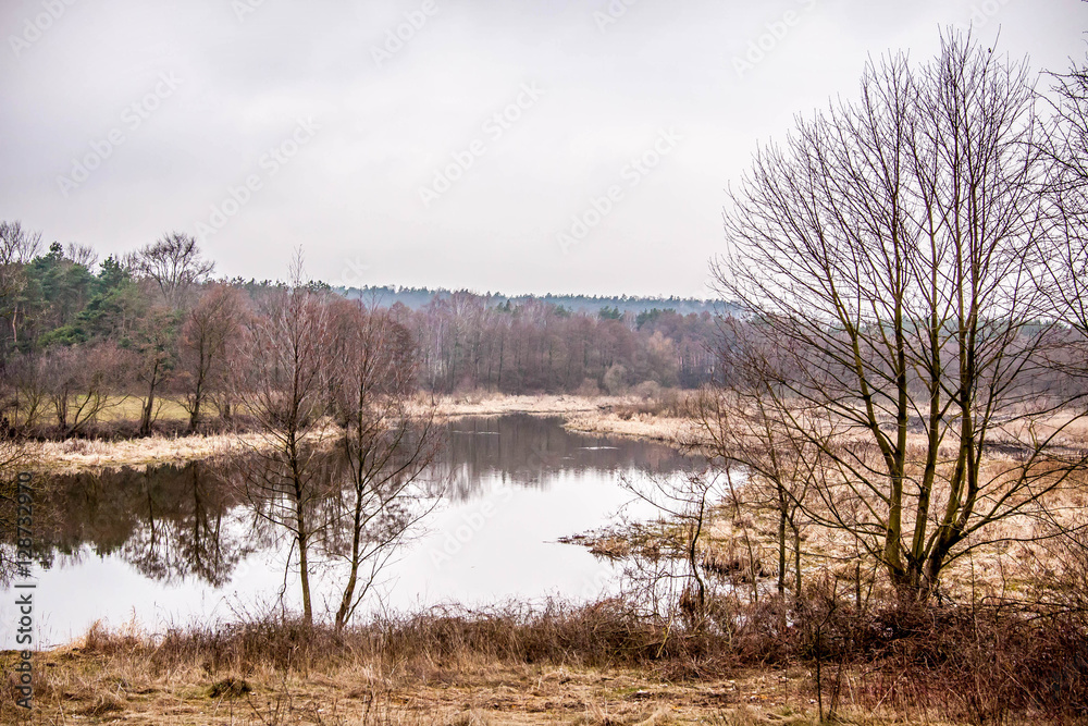 Polish nature during winter