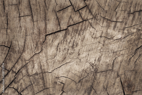 Grungy cracked wooden board by closeup textured background