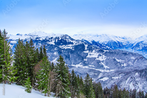 Beautiful winter landscape. snow covered trees