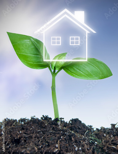 Real estate new investment ...