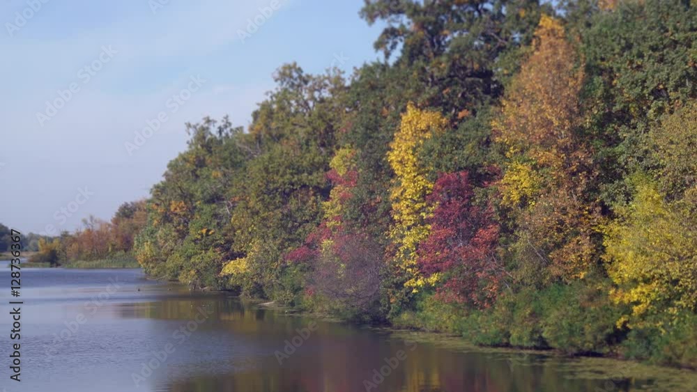 charming landscape forest in autumn. ravishing nature with colored leaves red, green, gold, yellow. Calm blue water in lake or river. charming landscape forest in autumn. ravishing nature with colored leaves red, green, gold, yellow. Calm blue water in lake or river.