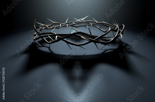 Crown Of Thorns With Royal Shadow