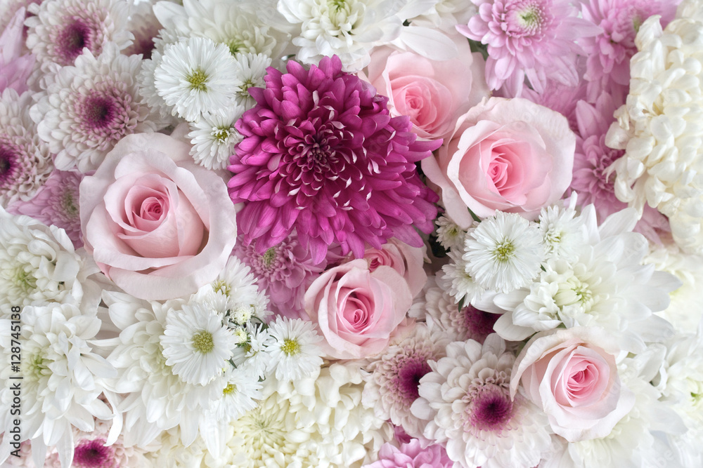 Pink and White flowers - obrazy, fototapety, plakaty 